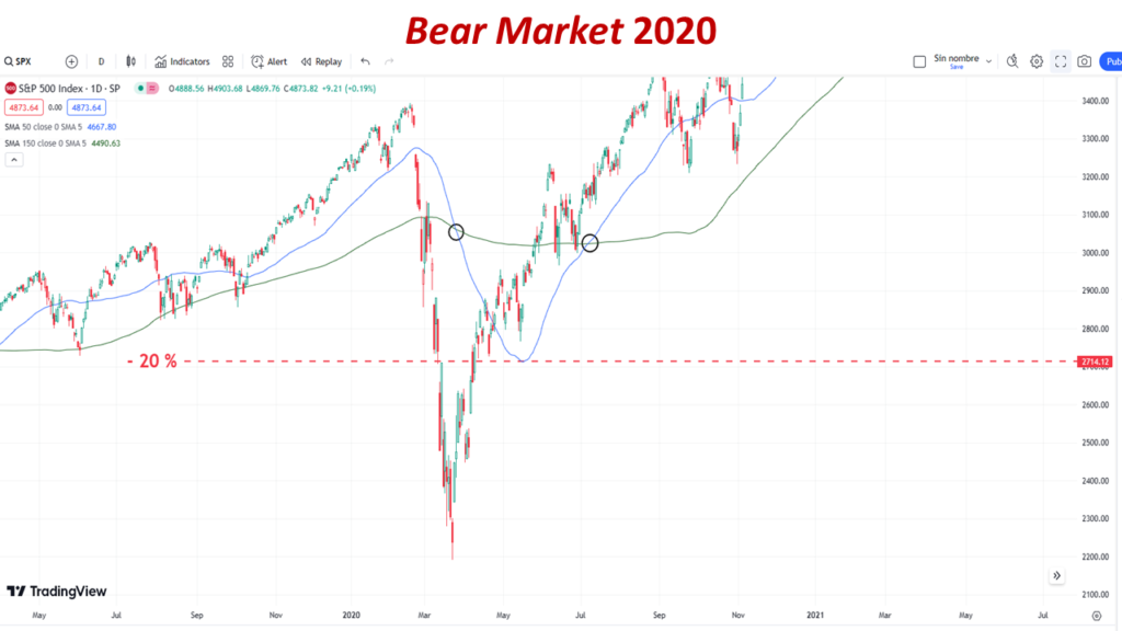 Bear Market 2020